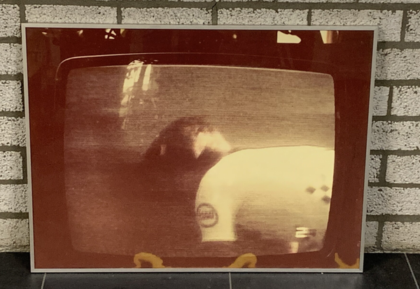 1377 - Leentje Linders - Alpe D' Huez VI wielrennen  ( 60 * 80 incl. lijst)