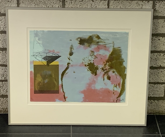 1309 - Mirjam Bürer - Urban Jungle Life II ( 60 * 70 incl. lijst)