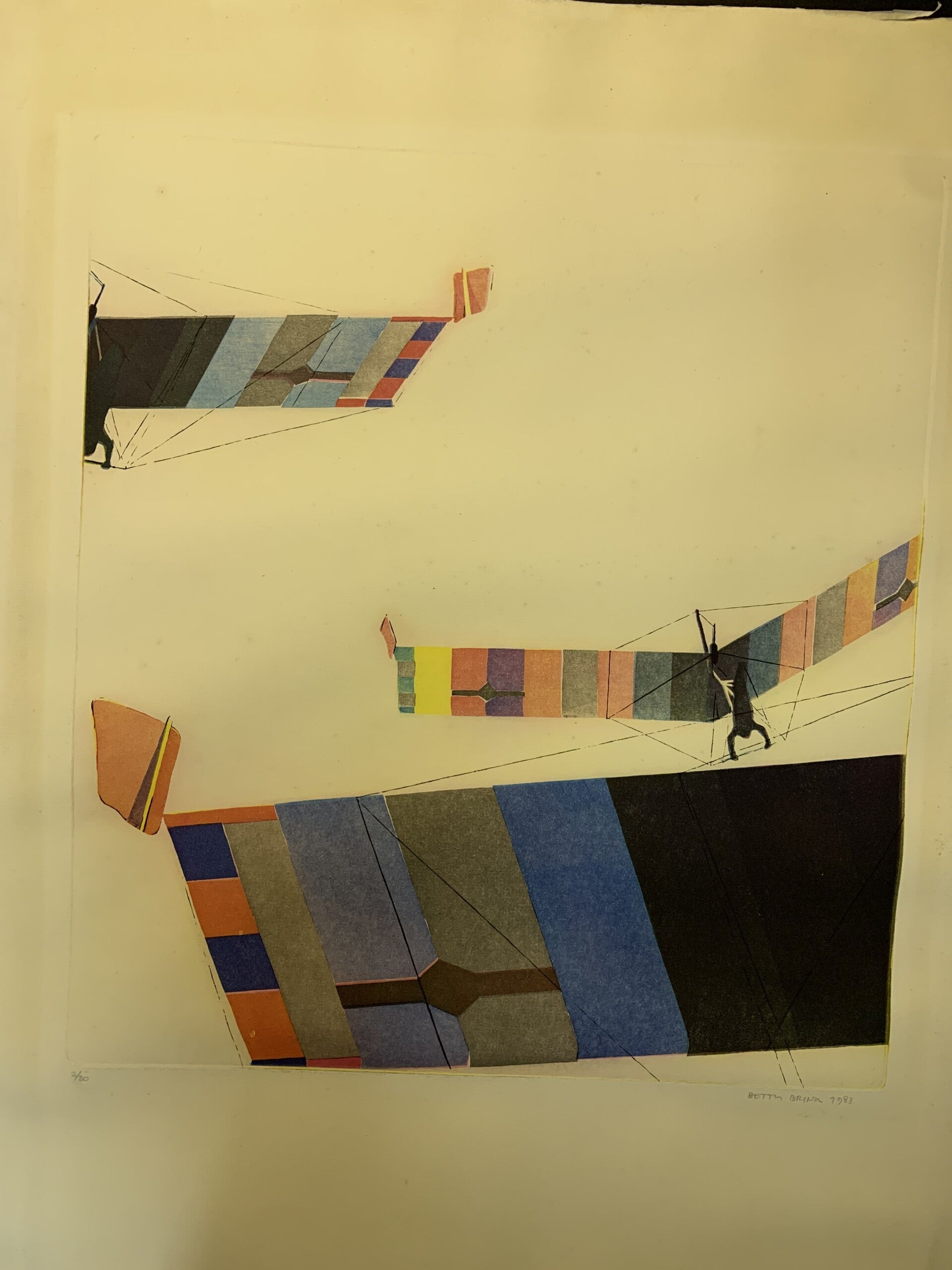 1353 - Betty Brink - Zeilvliegers 5