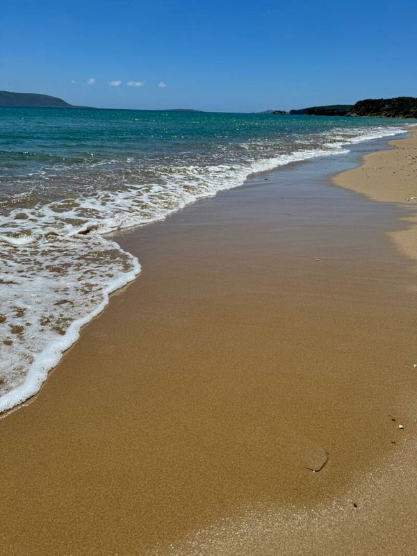 Reservations September 2026