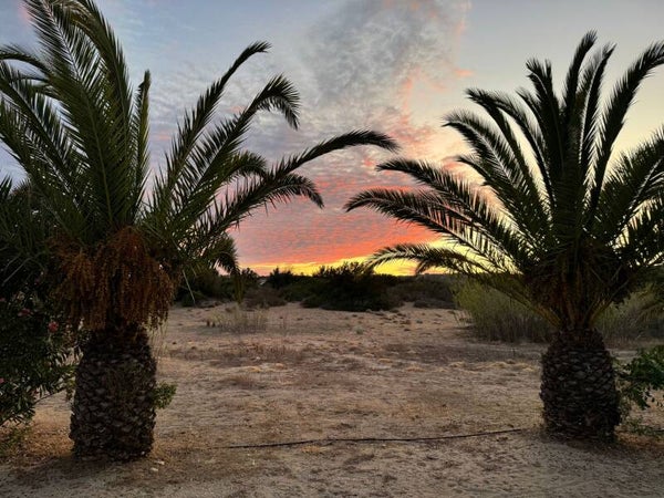 Reservations August 2026