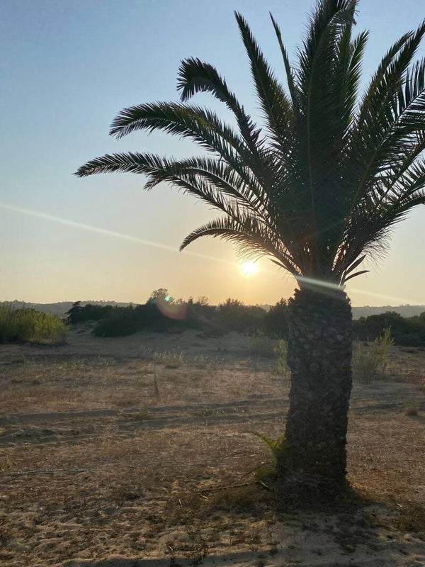 Reservations February 2027