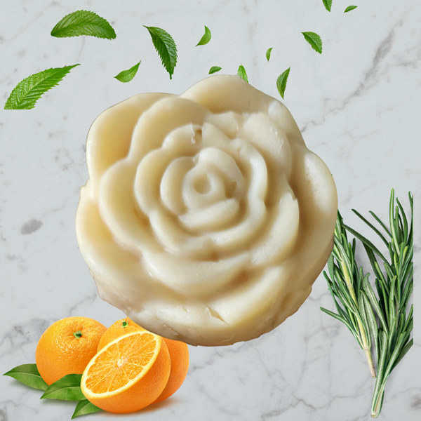 Shampoo and Body Bar