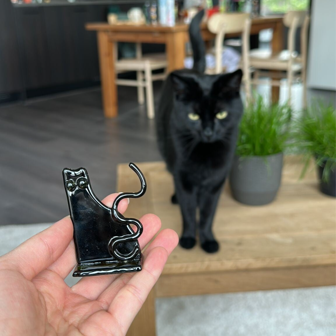 10) Katten van glas