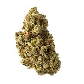 Amazing Haze Feminised Seeds