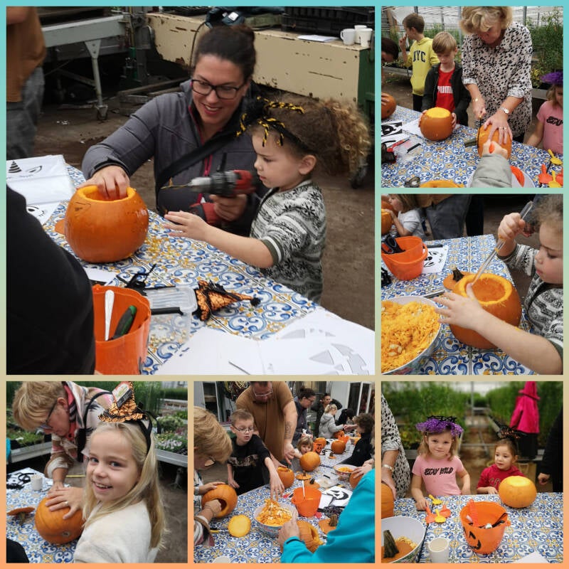 workshops groeps activiteiten familidagen vrienden uitjes kinder activiteiten