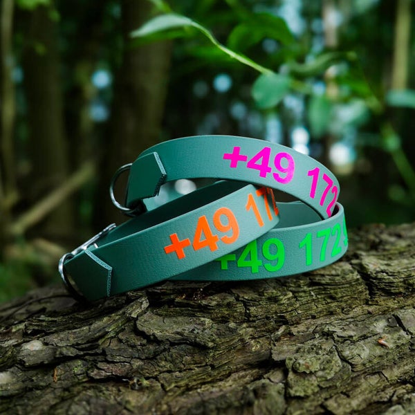 Biothane Halsband "Wellenreiter"