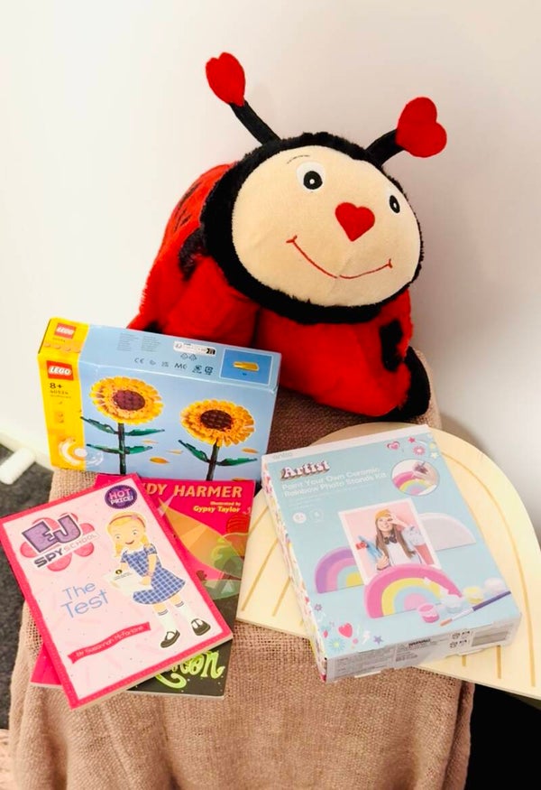 Baby / Childrens Curated Toy bundle