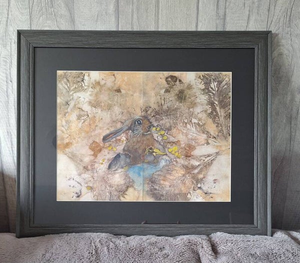 Rabbit at spring