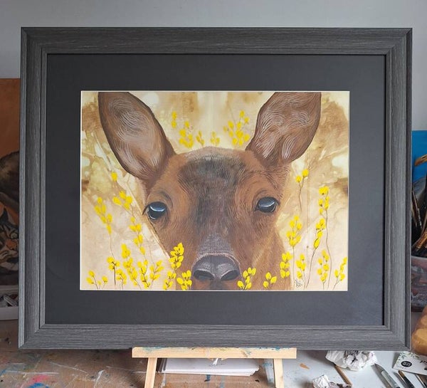 Deer in meadow
