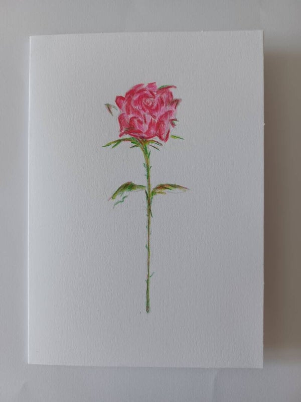 Wenskaart met rode roos