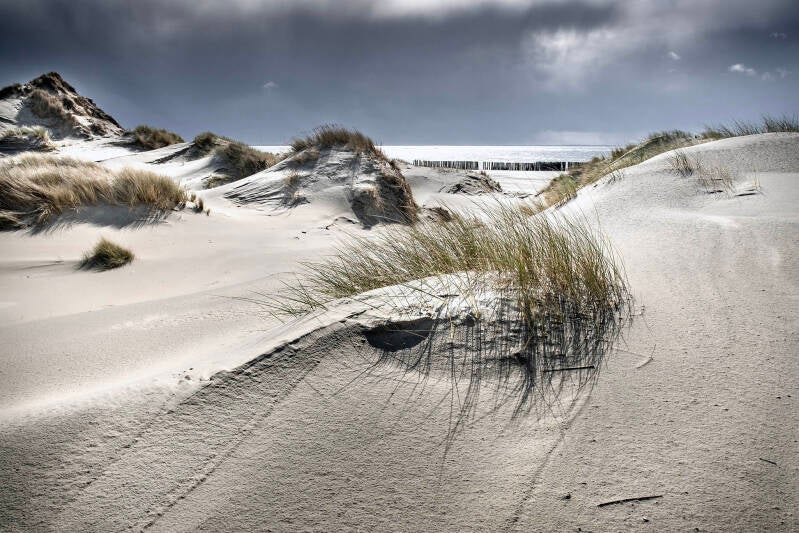 nr-01-duin-en-strand-standard-cd03fj.jpg