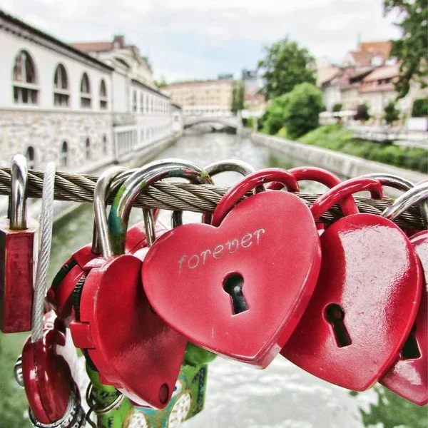 SnapBar : Amour Infini