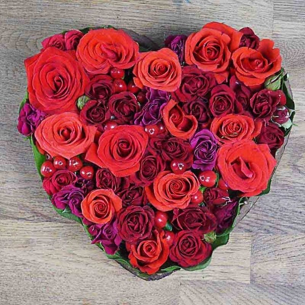 Snapbar : Rose d'Amour