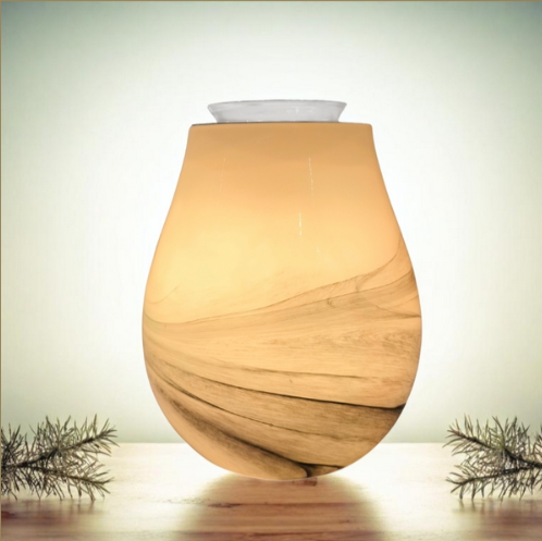 Brûleur Electrique : Calorya 11