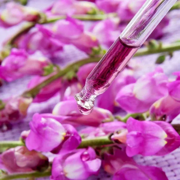 Fondant : Elixir Floral