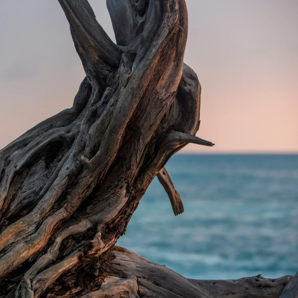 Bougie Artisanale : Bois Flotté