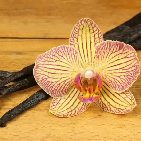 Poudre d'Ambiance : Orchidée et Vanille