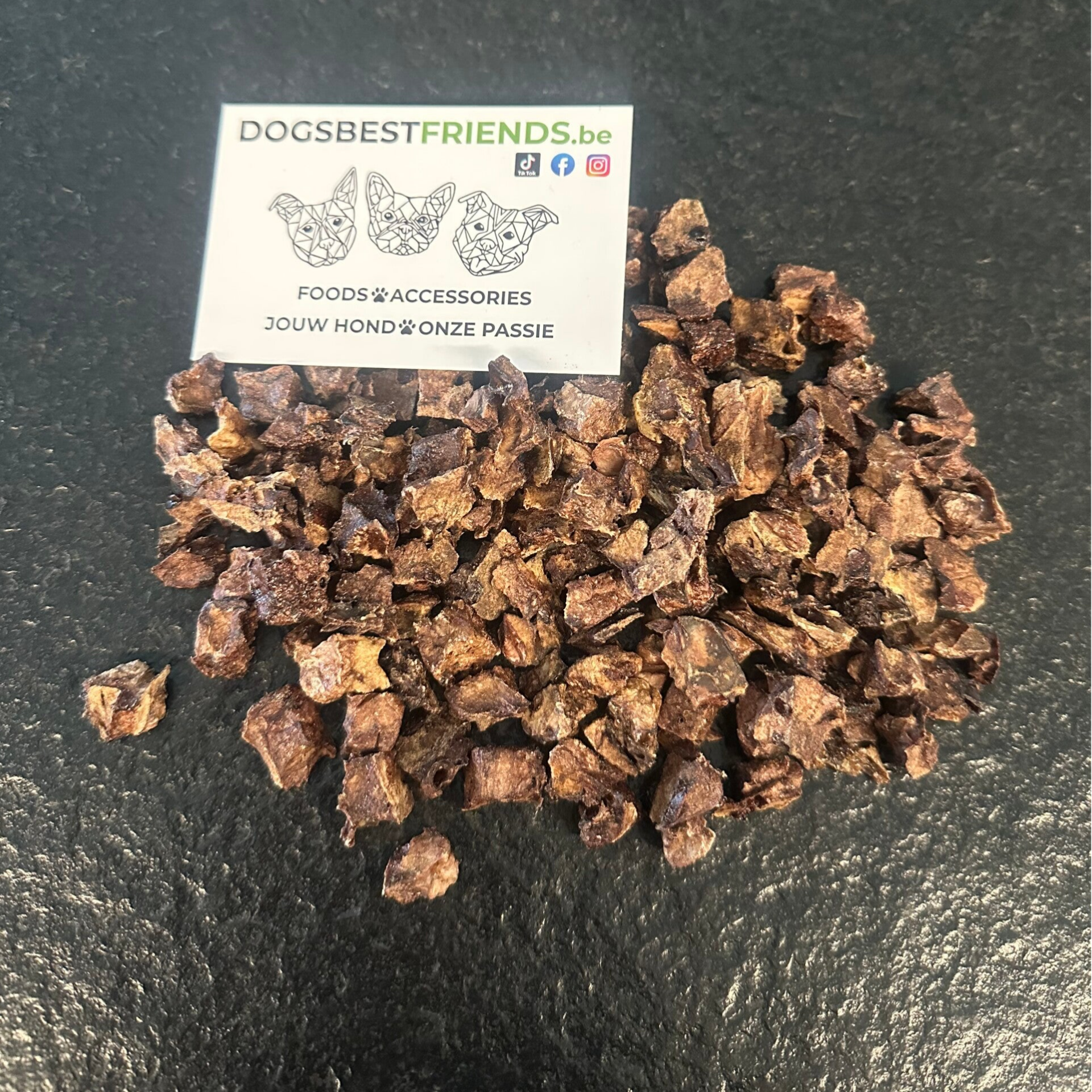 Mini Paardenlongtrainers