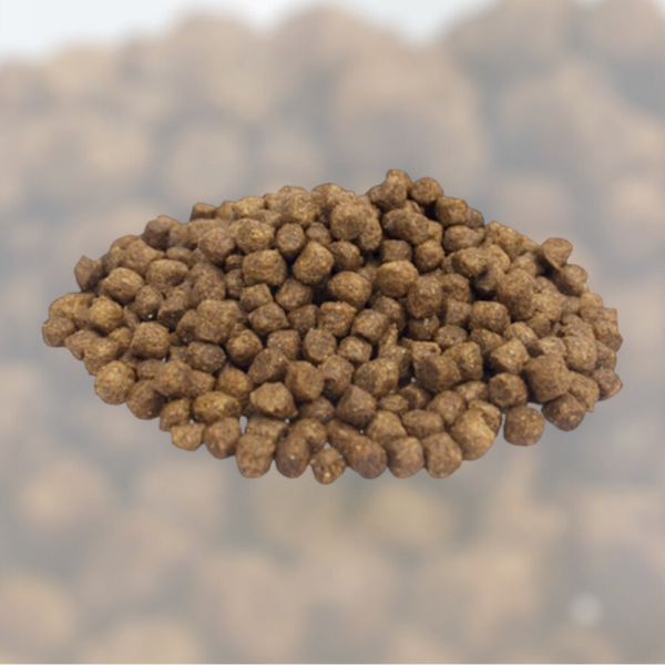 Krokant Mini Kip Rijst