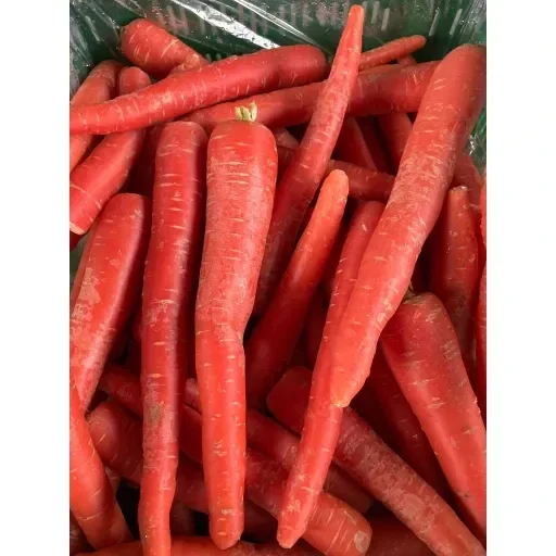 Bio Möhre Rote Helene