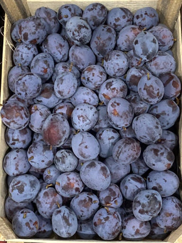 Deutsche Zwetschgen aus der Region