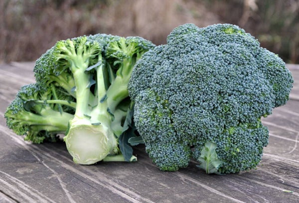 Italiaanse biologische broccoli