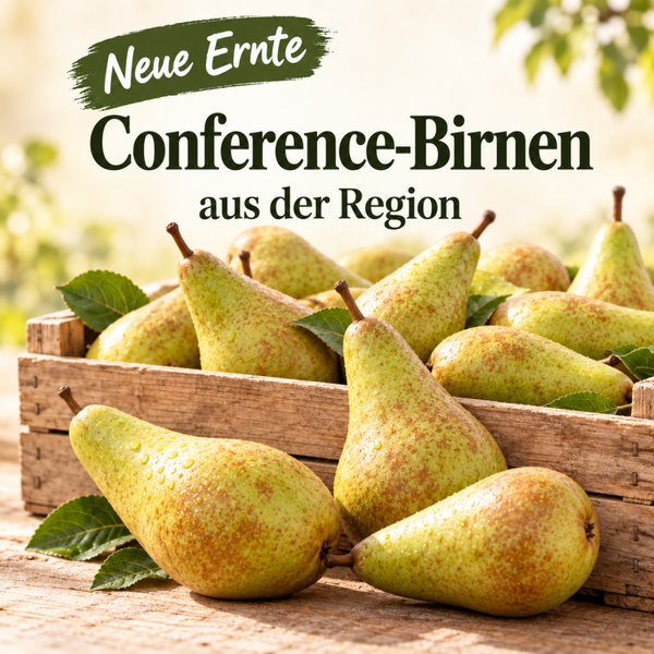 Neue Ernte Conference Birnen aus der Region