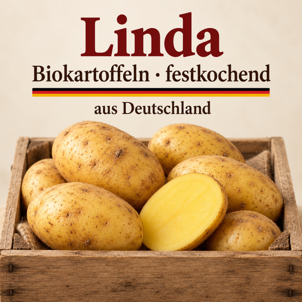 Linda - festkochende Biokartoffel aus Deutschland