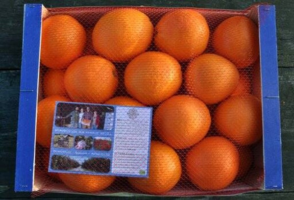 Spanische Morell Bio Orangen