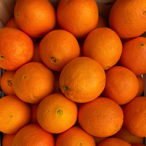 Saftige Pressorangen, 20 Stück