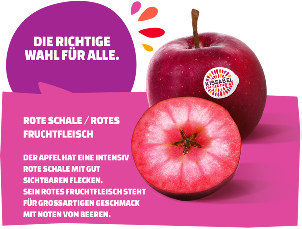 Demeter Bio Apfel Kissabel Rouge, je kg