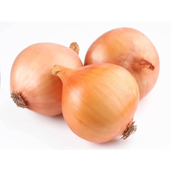 GROENTE UIEN "Grano de Oro"