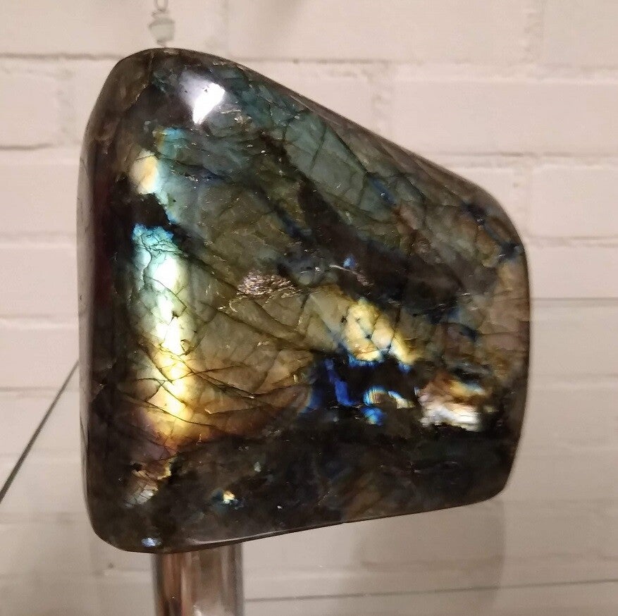 Labradoriet 1,4 kilo