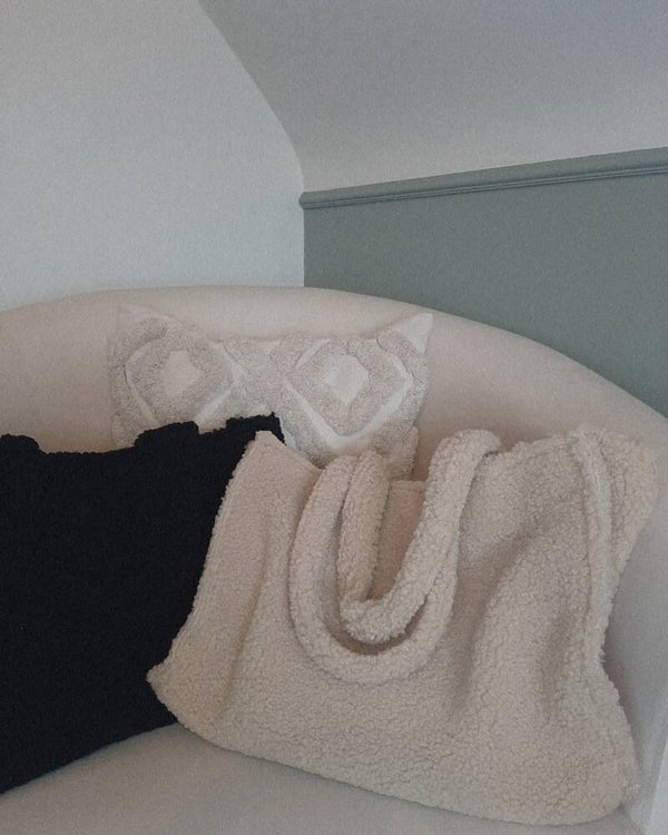 Teddy bag