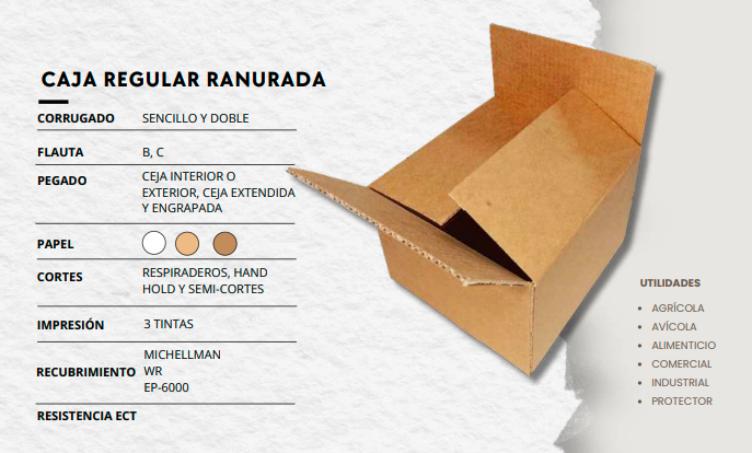 CAJA REGULAR RANURADA