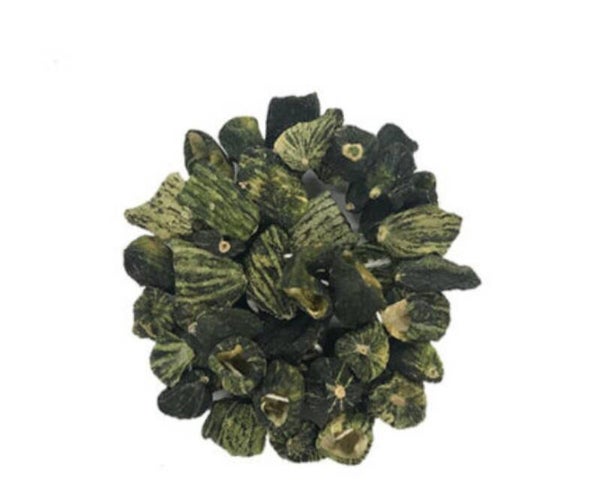 Dolmalık acur kurusu