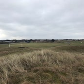 IMG_0900.jpg