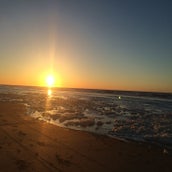 zon.jpg