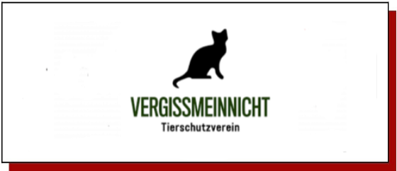  Tierschutzverein,  welcher sich in Ägypten 
