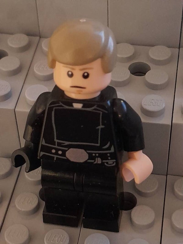 Luke Skywalker sw0635