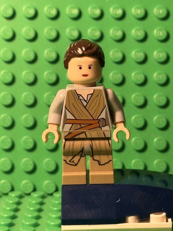 Rey sw0677.