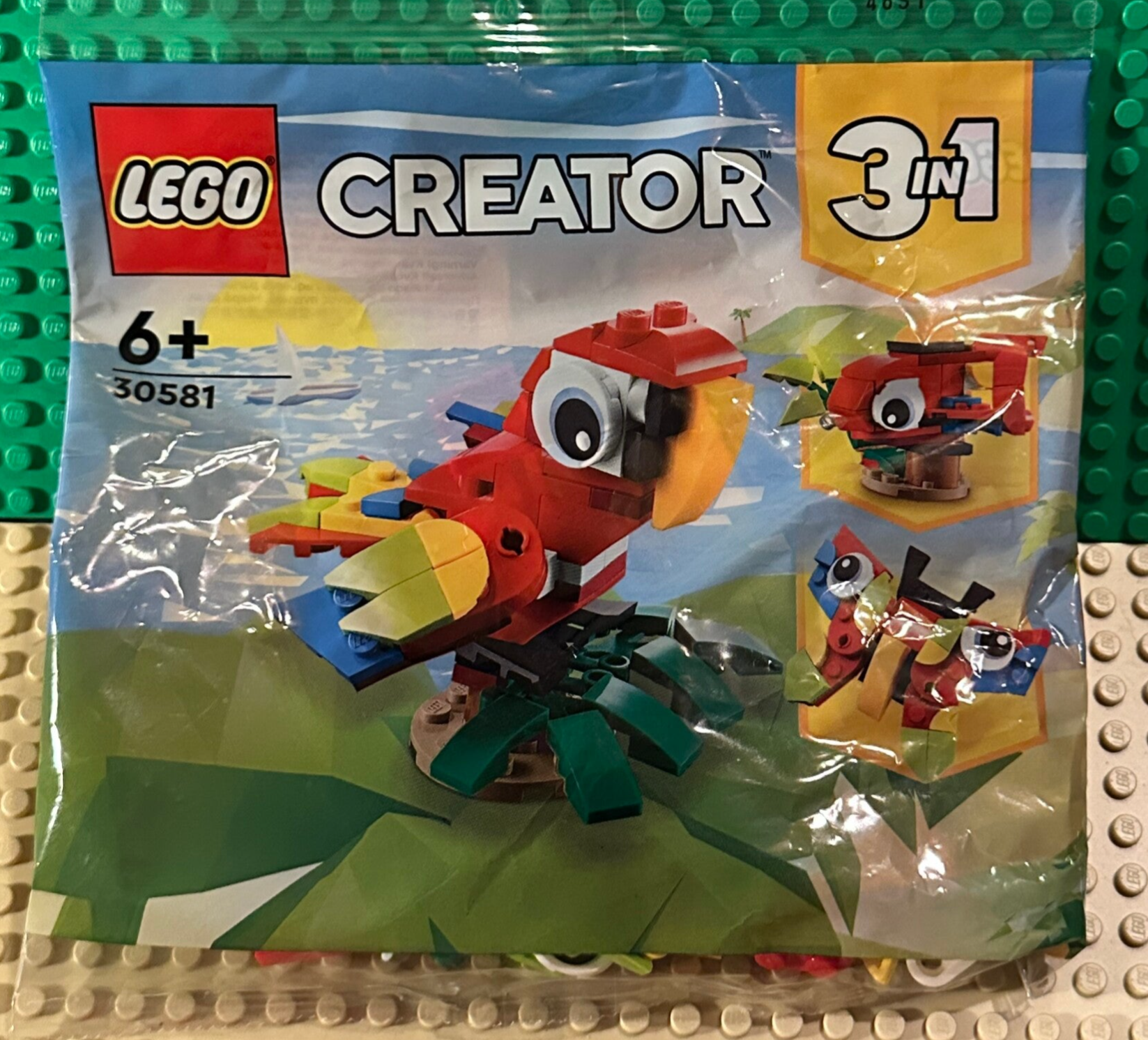 PB. 30581 Tropical Parrot