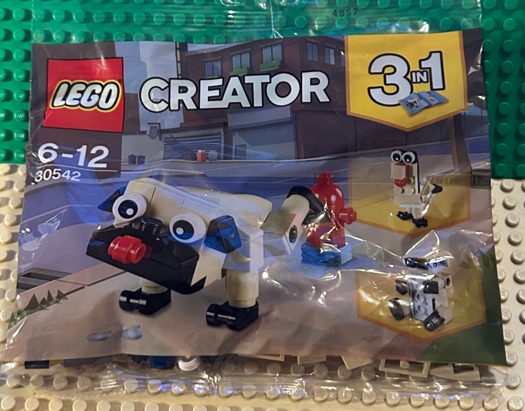 PB. 30542 Cute Pug