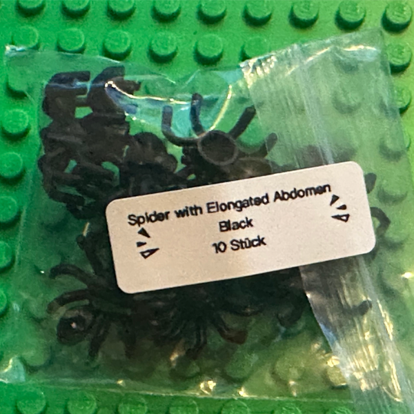 ETN. Spider with Elongated Abdomen