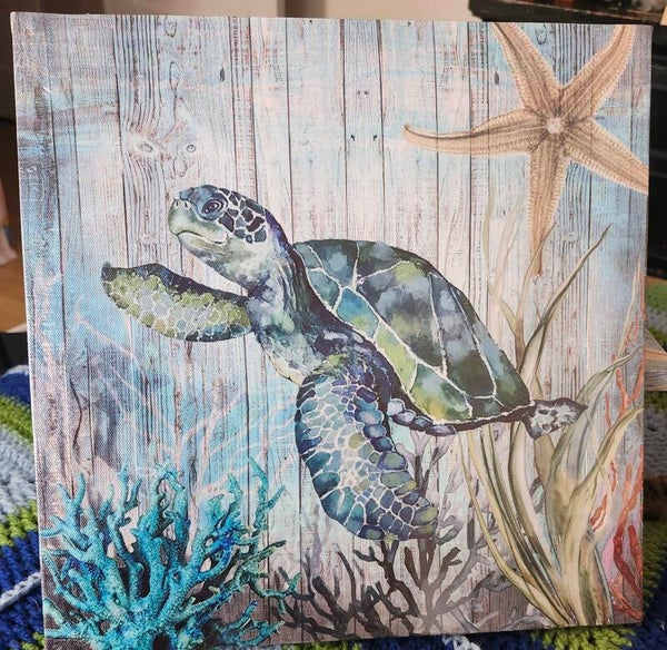Cadre tortue