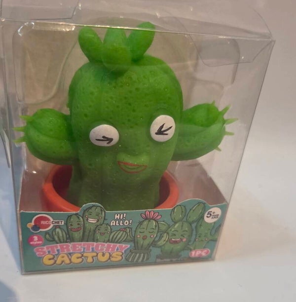 Stretchy  cactus