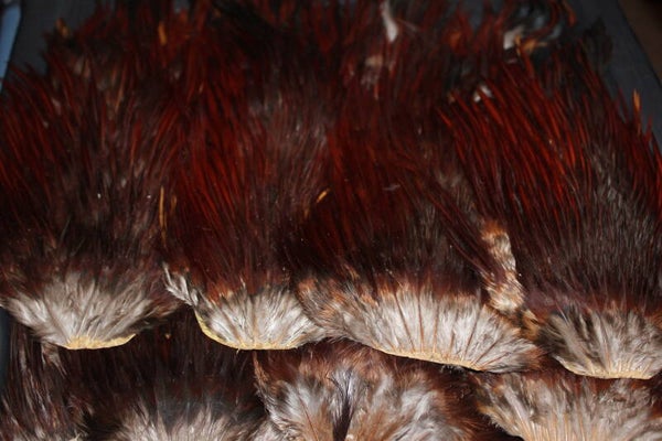 Fiery Brown Cock Saddle