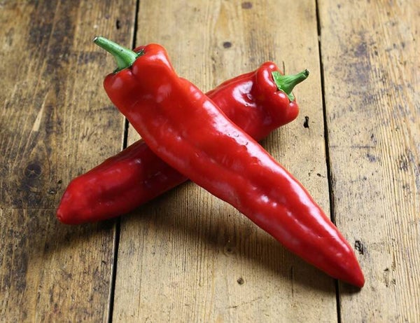 1024 Punt Paprika Medrano F1