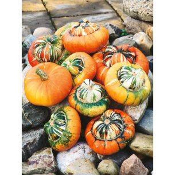 5002 Sierkalebassen Turkse Muts